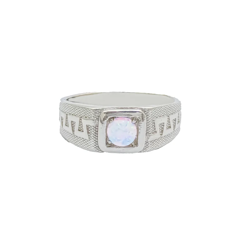 Trendy Multi-stone Ring for Fashionistas-Fancy Opal Ring (Silver)